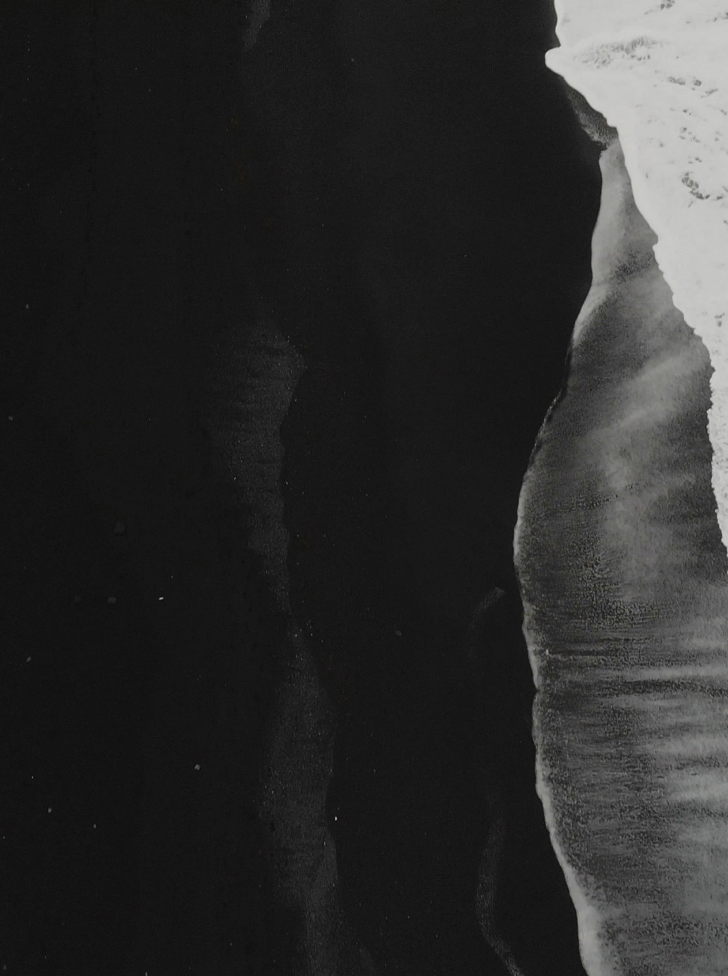 Lobelia. Rethinking the climate change data company website